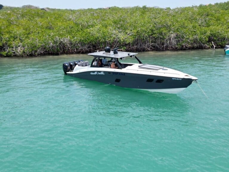 49′ Super Brown, speedboat for rent in Cartagena