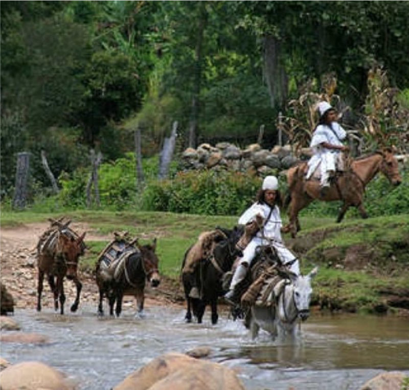 The Real Colombia A Dive Into La Paisita Culture Beyond The Tourist Traps - 3joor1n