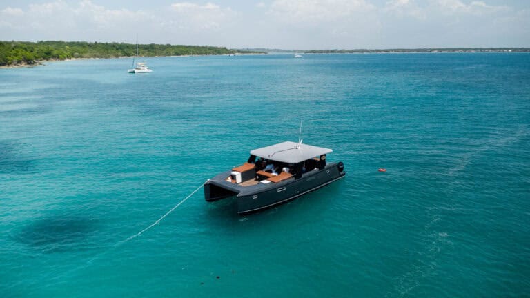 Catamarán de motor Mistral Powercat 45′ en Cartagena (foto 10 de 13)