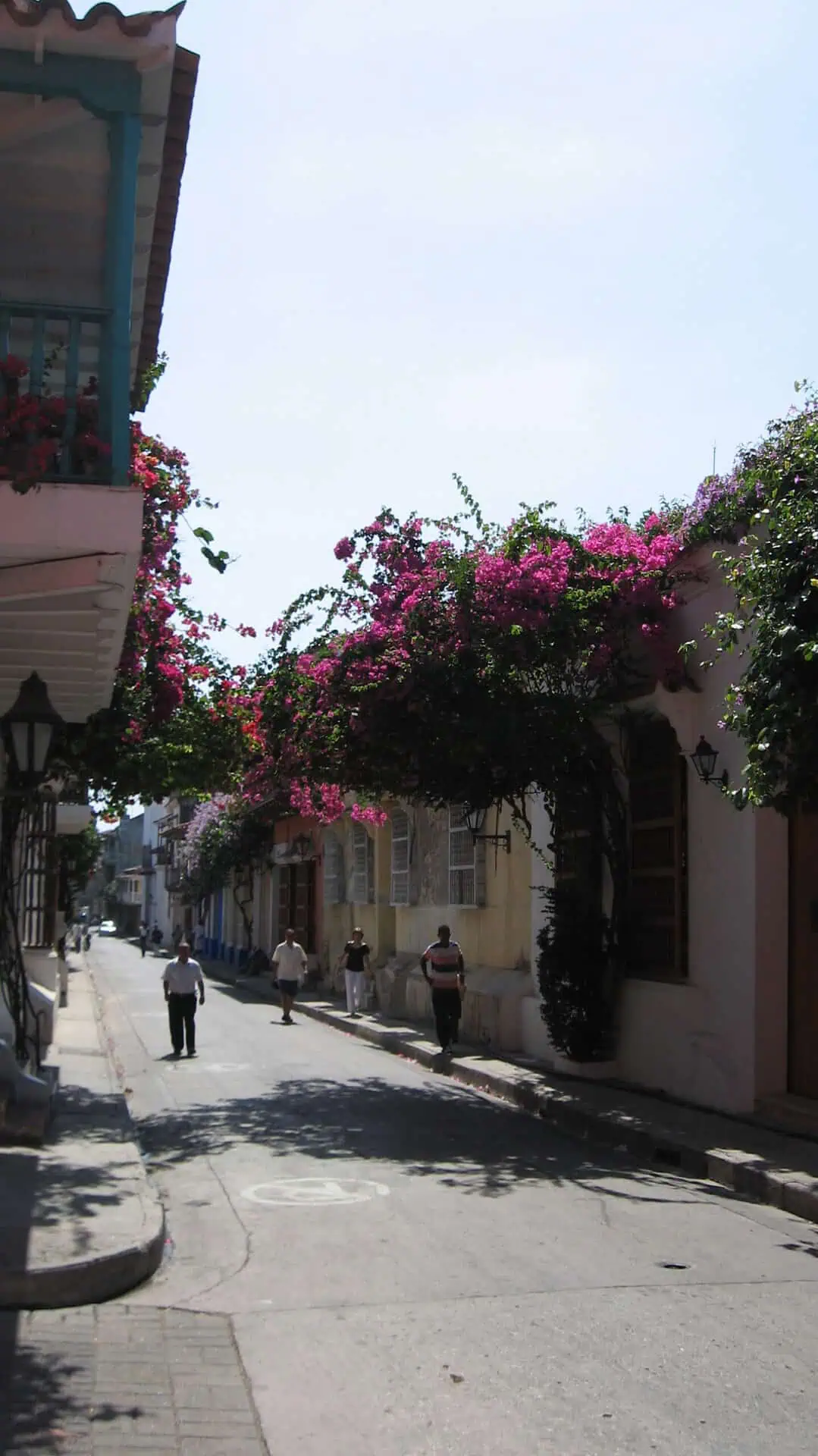 Cartagena Sector Antiguo VIP view