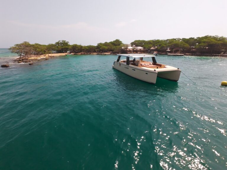 Catamarán de motor Alisio Powercat 45′ en Cartagena (foto 3 de 14)