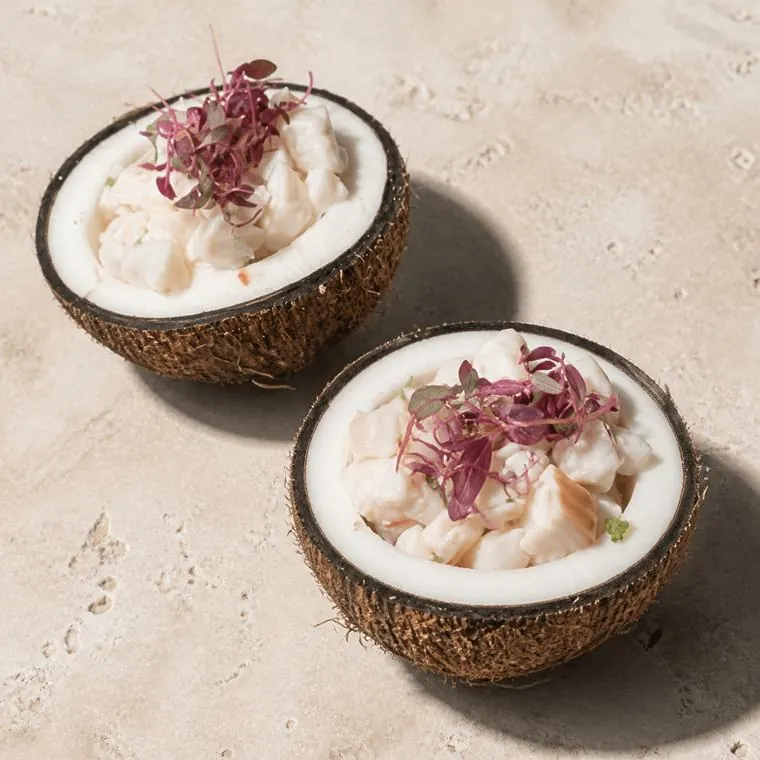 Peruvian ceviche in a coconut