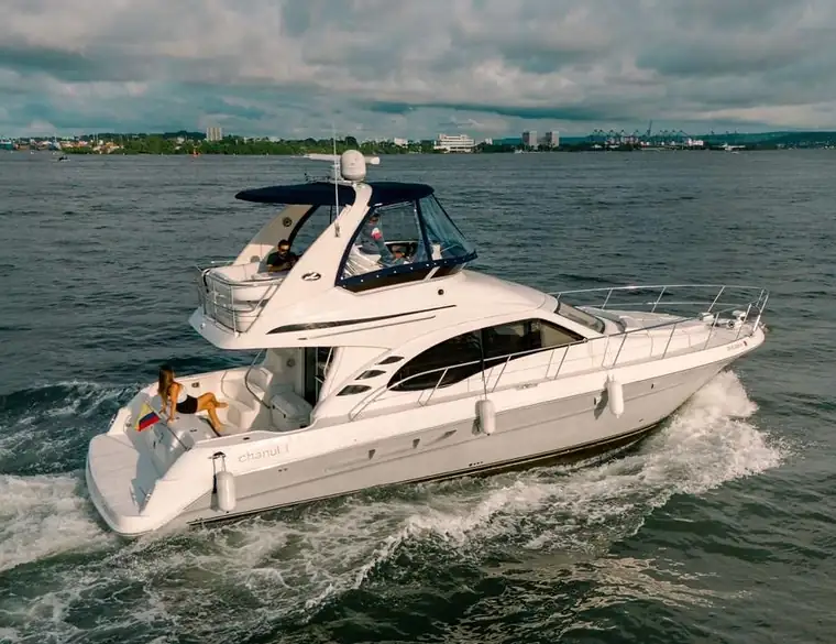 Yate Sea Ray Flybridge 44′ en Cartagena (foto 1 de 12)